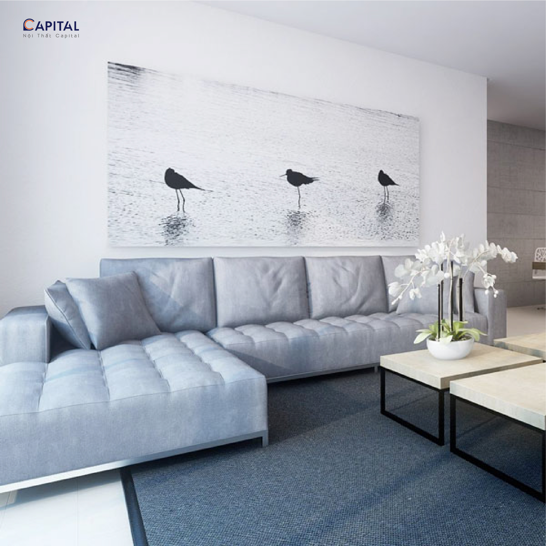 SOFA LOGO-32
